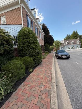 Trimmed hedges along a brick walkway in Maryland