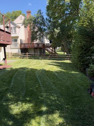 Mower and freshly cut lawn in Maryland