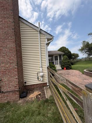 Ground-out tree stump beside a brick home in Maryland