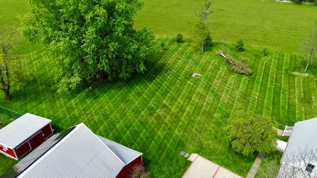 Healthy, well-fed lawn in Gaithersburg, Maryland