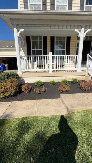 Fresh mulch and new shrub planting along a front walkway in Maryland