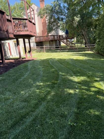 Mowed lawn with clean cutting stripes in Maryland