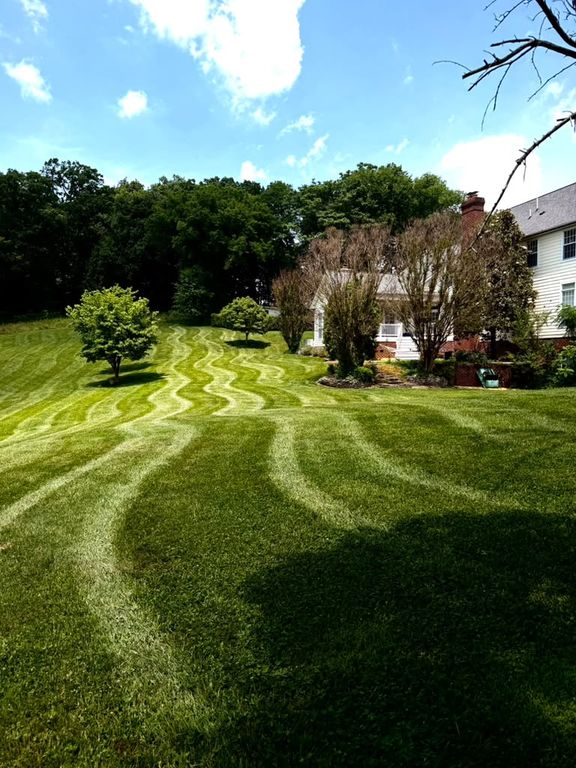 Freshly mowed lawn with clean mowing stripes in Maryland