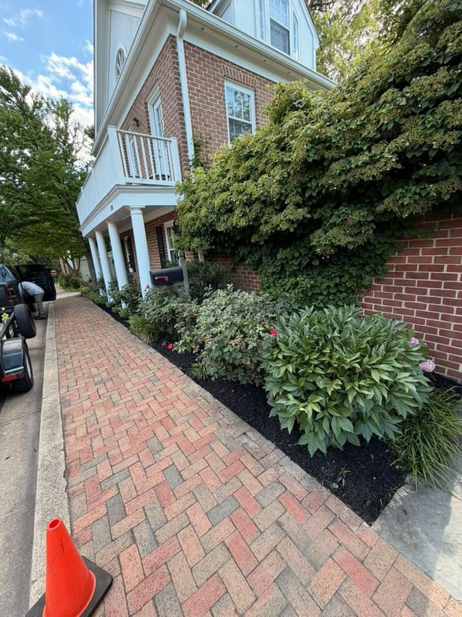 Fresh mulch bed along a brick walkway in Maryland