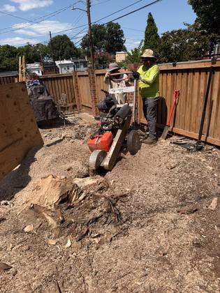 Life is Green crew operating a stump grinder in a Maryland backyard
